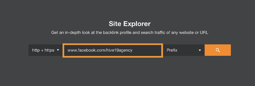Site Explorer Search Box